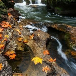 Meet your Posher, Mari